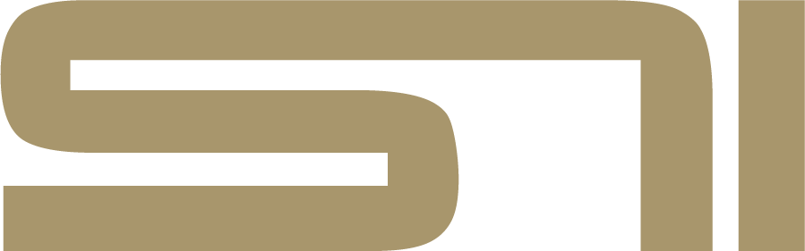 SN1_Consulting – Logo gold